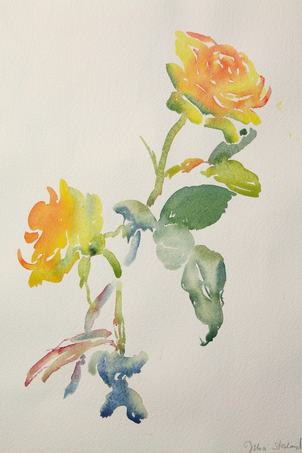 ./newwatercolours/10612Yellow roses_wm.JPG